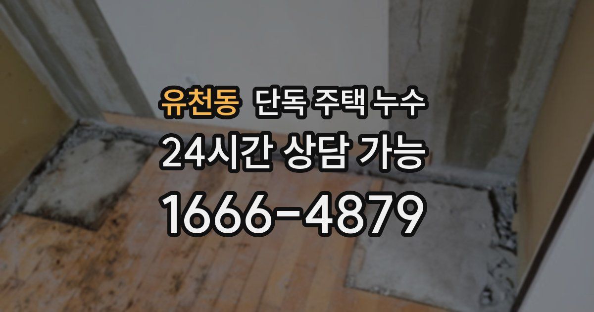 유천동 단독 주택 누수