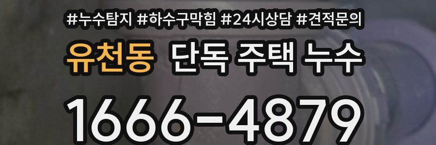 유천동 단독 주택 누수