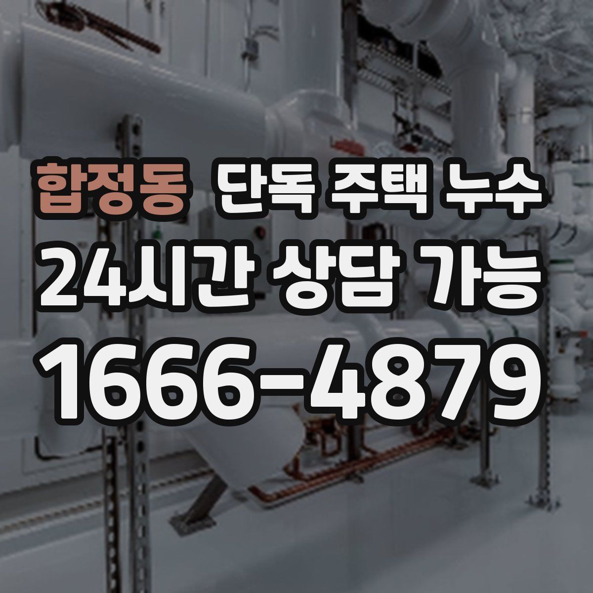 합정동 단독 주택 누수