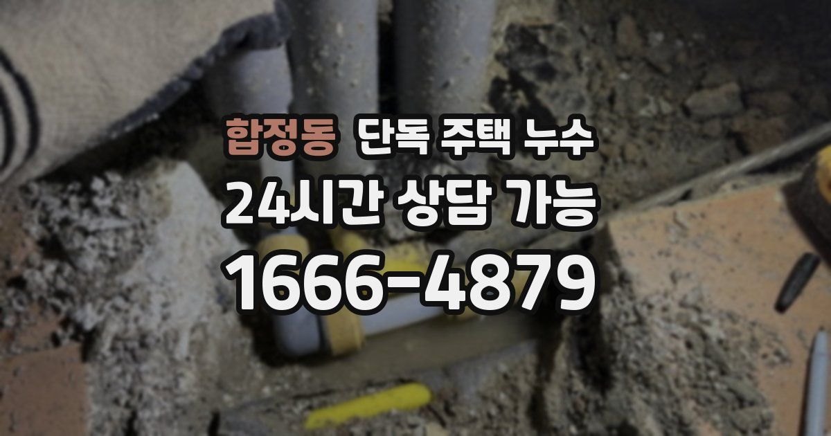 합정동 단독 주택 누수