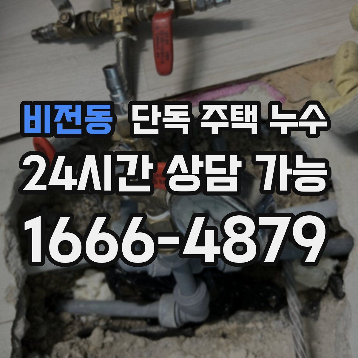 비전동 단독 주택 누수