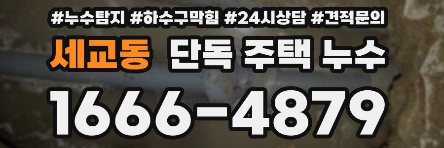 세교동 단독 주택 누수