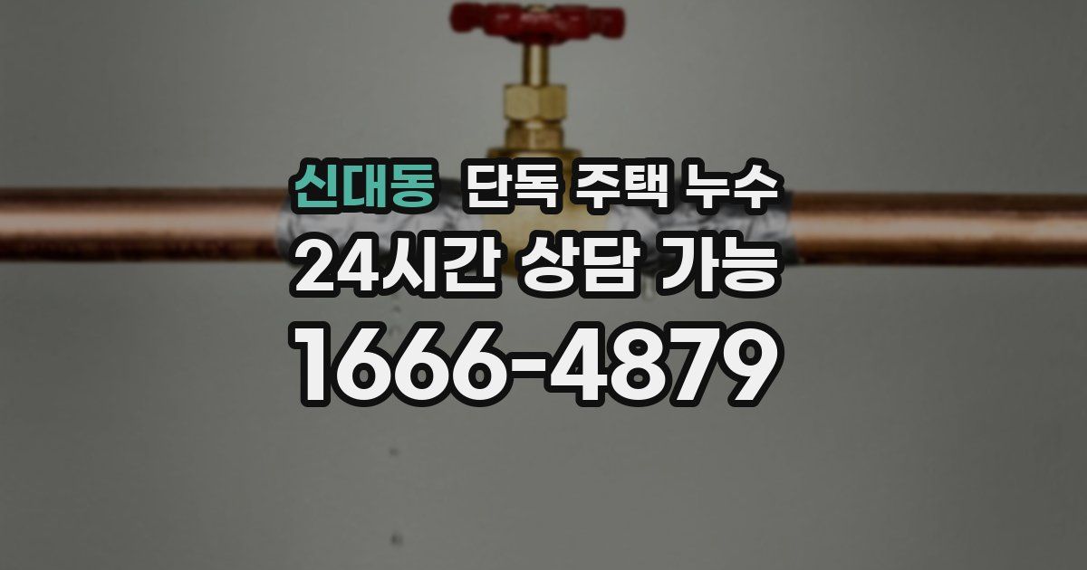 신대동 단독 주택 누수