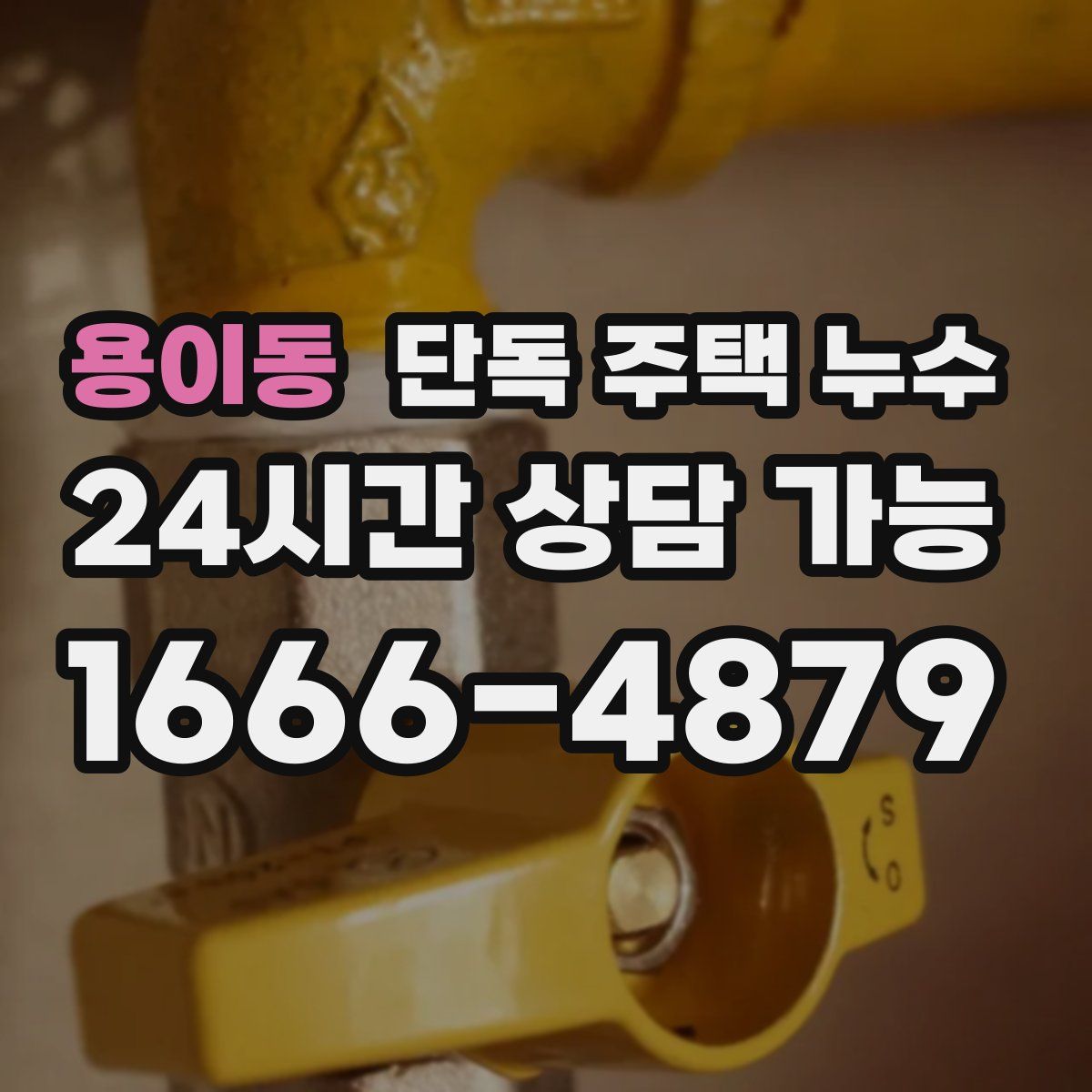 용이동 단독 주택 누수