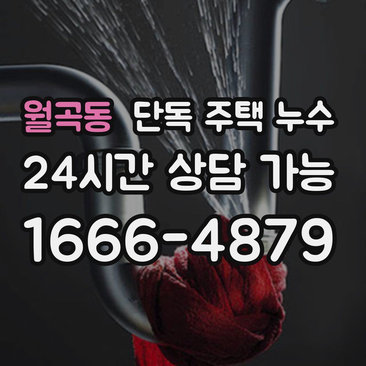 월곡동 단독 주택 누수