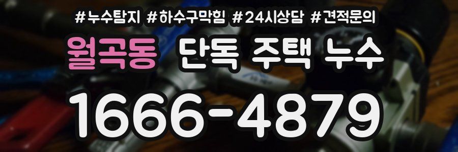 월곡동 단독 주택 누수