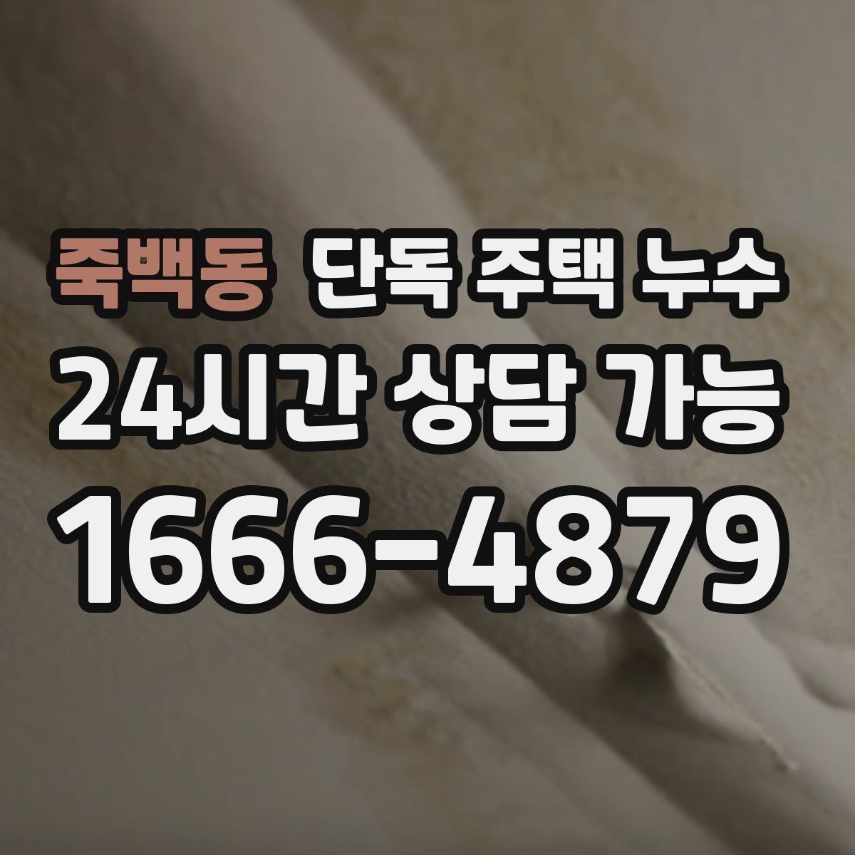 죽백동 단독 주택 누수 샤워부스 하부에서 물이 스며들 때
