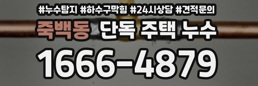 죽백동 단독 주택 누수