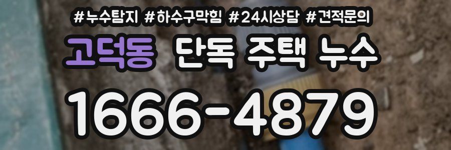 고덕동 단독 주택 누수