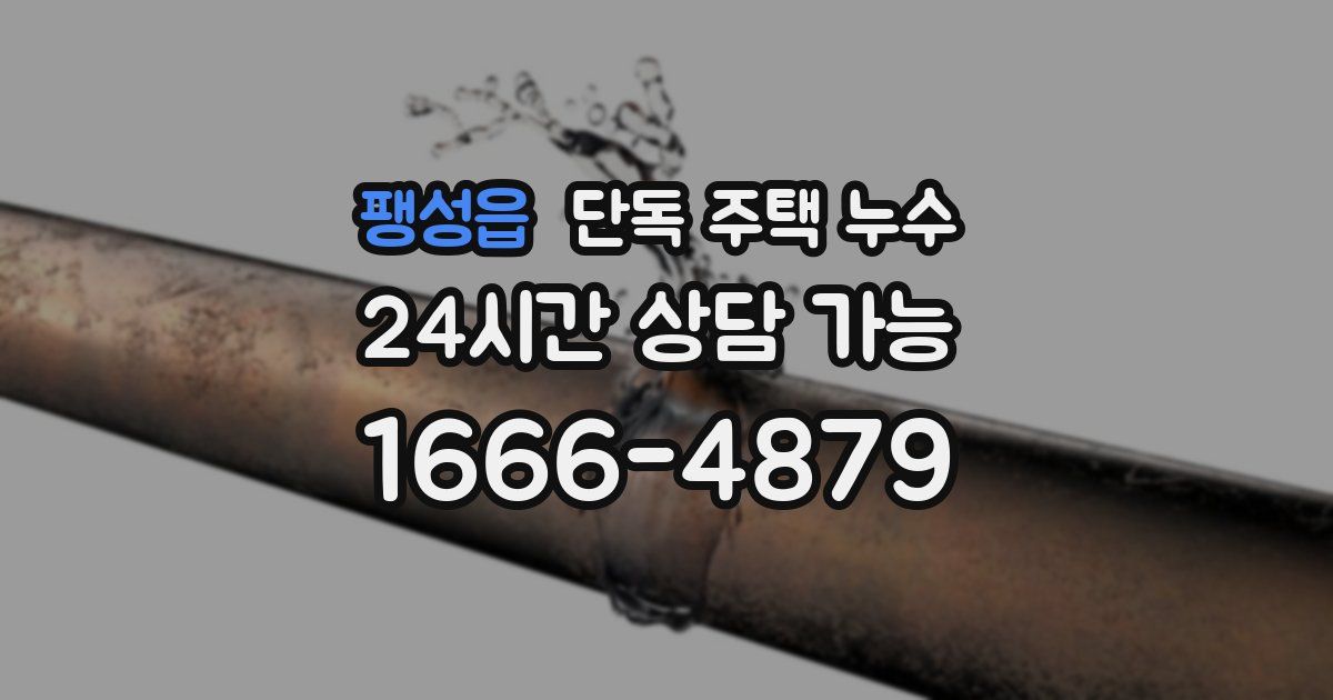 팽성읍 단독 주택 누수