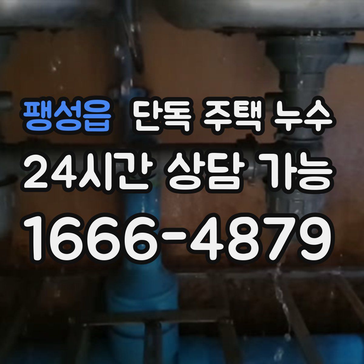 팽성읍 단독 주택 누수