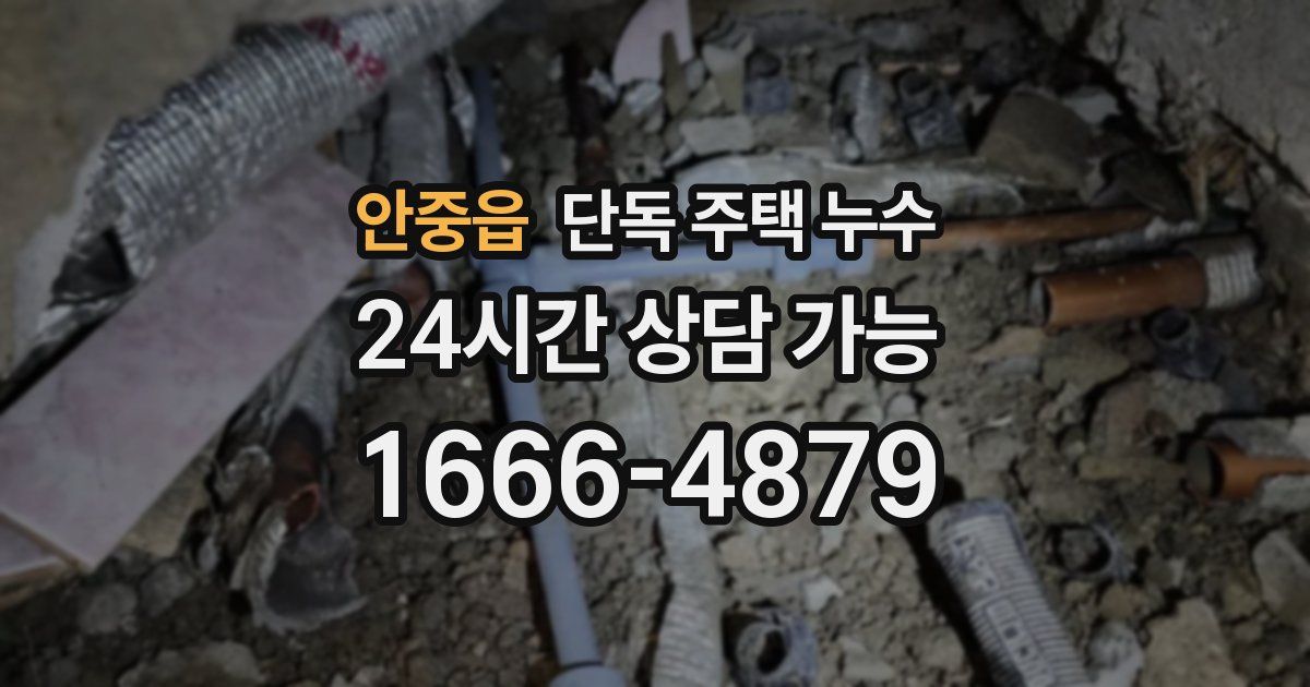 안중읍 단독 주택 누수