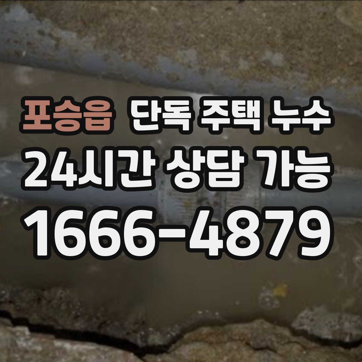 포승읍 단독 주택 누수