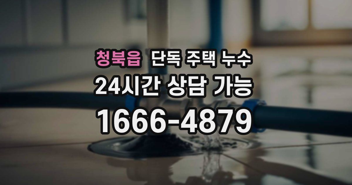 청북읍 단독 주택 누수