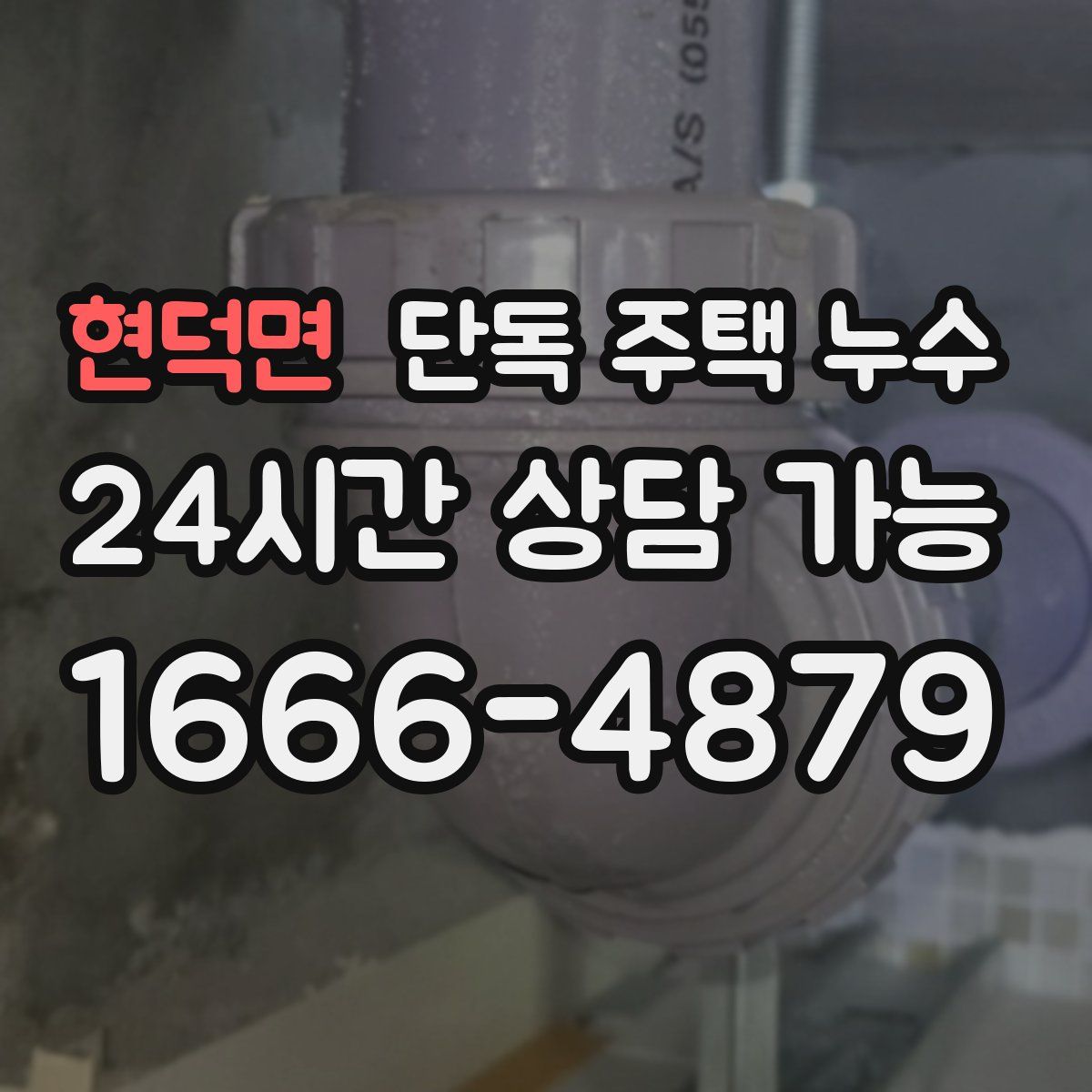 현덕면 단독 주택 누수