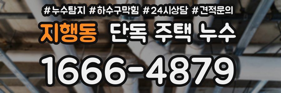 지행동 단독 주택 누수