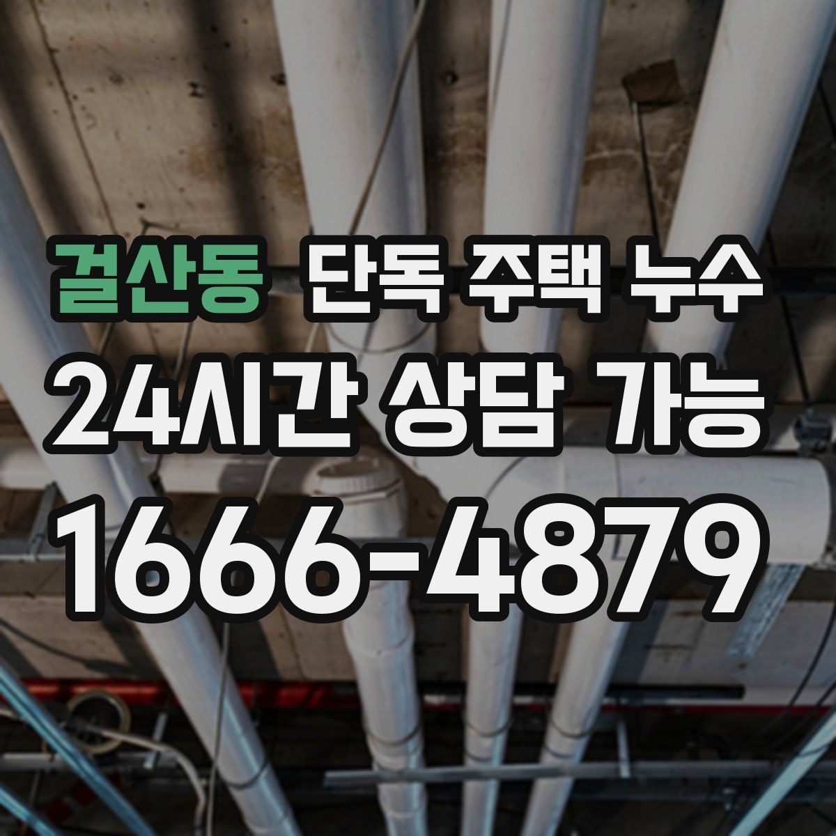 걸산동 단독 주택 누수