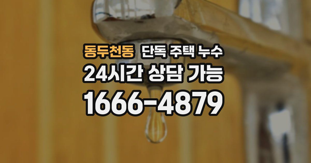 동두천동 단독 주택 누수