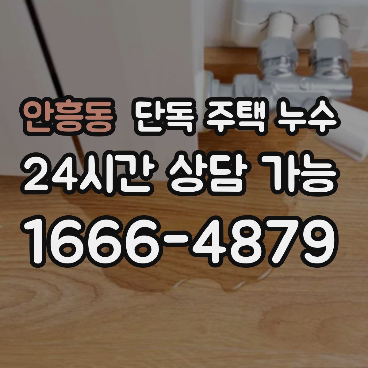 안흥동 단독 주택 누수