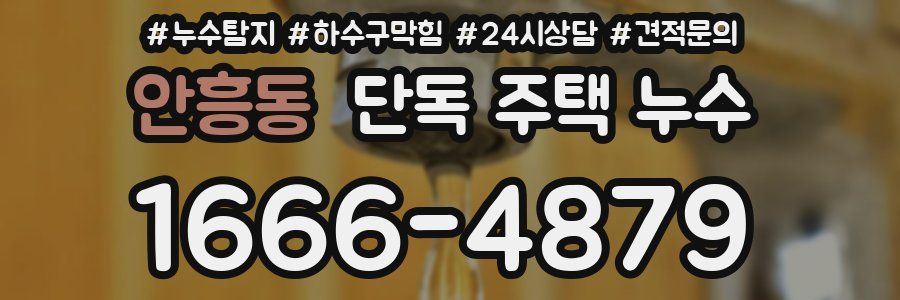 안흥동 단독 주택 누수