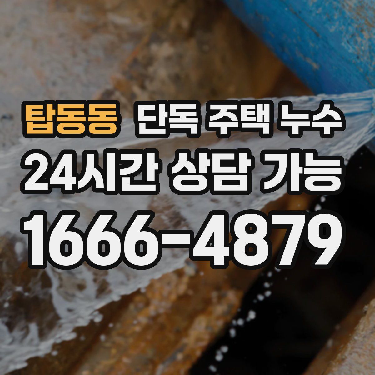 탑동동 단독 주택 누수