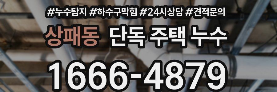 상패동 단독 주택 누수