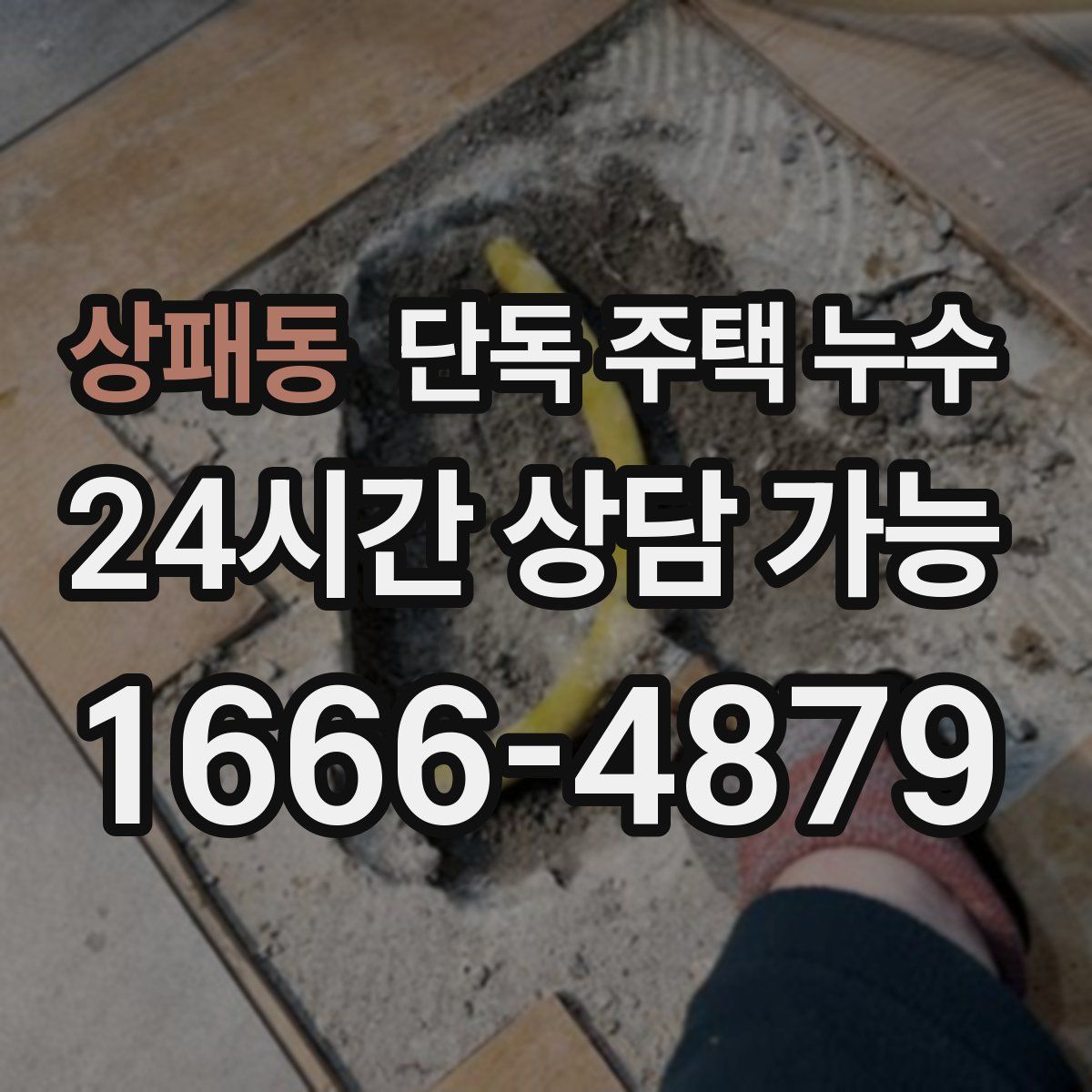 상패동 단독 주택 누수