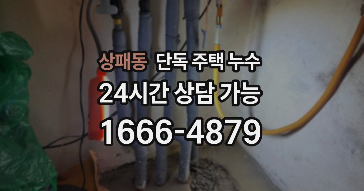 상패동 단독 주택 누수