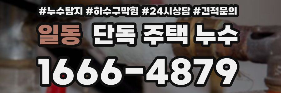 일동 단독 주택 누수