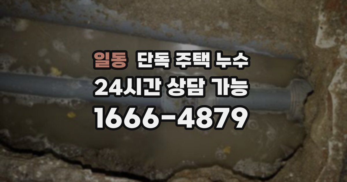 일동 단독 주택 누수