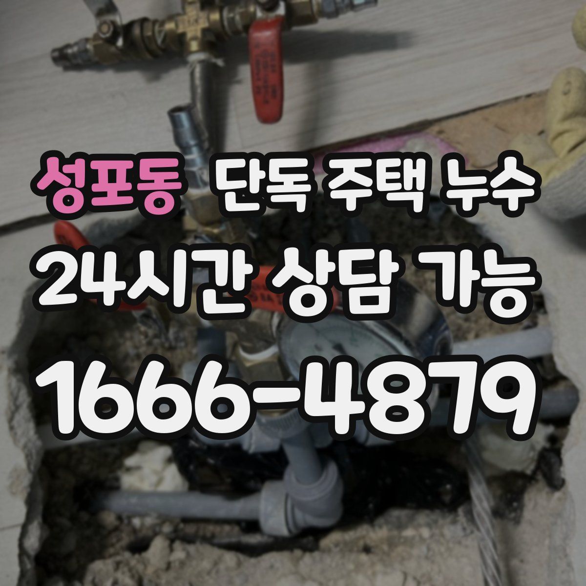 성포동 단독 주택 누수