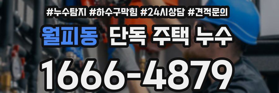 월피동 단독 주택 누수