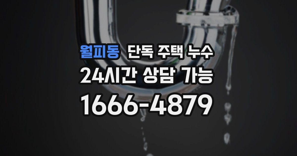 월피동 단독 주택 누수