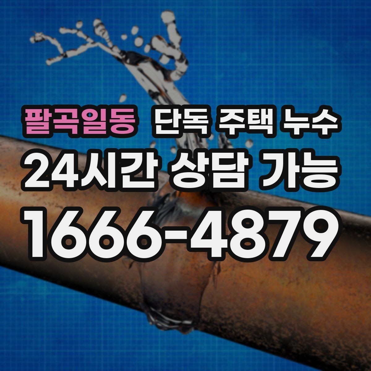 팔곡일동 단독 주택 누수 벽 하단만 젖는다면 배수 문제일까