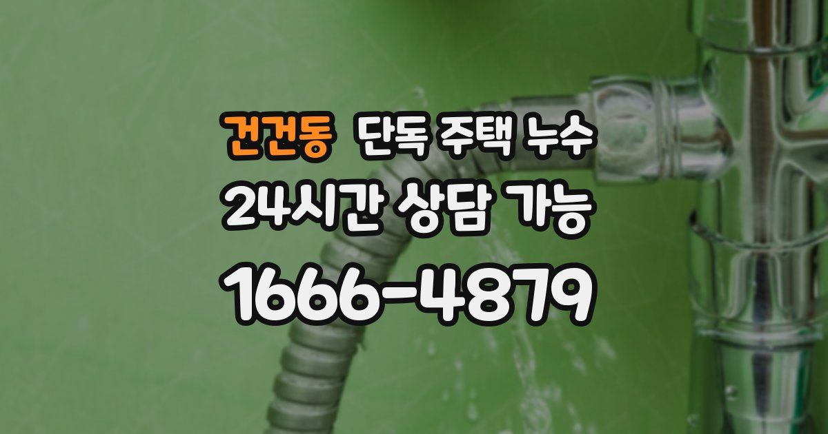 건건동 단독 주택 누수