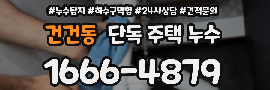 건건동 단독 주택 누수