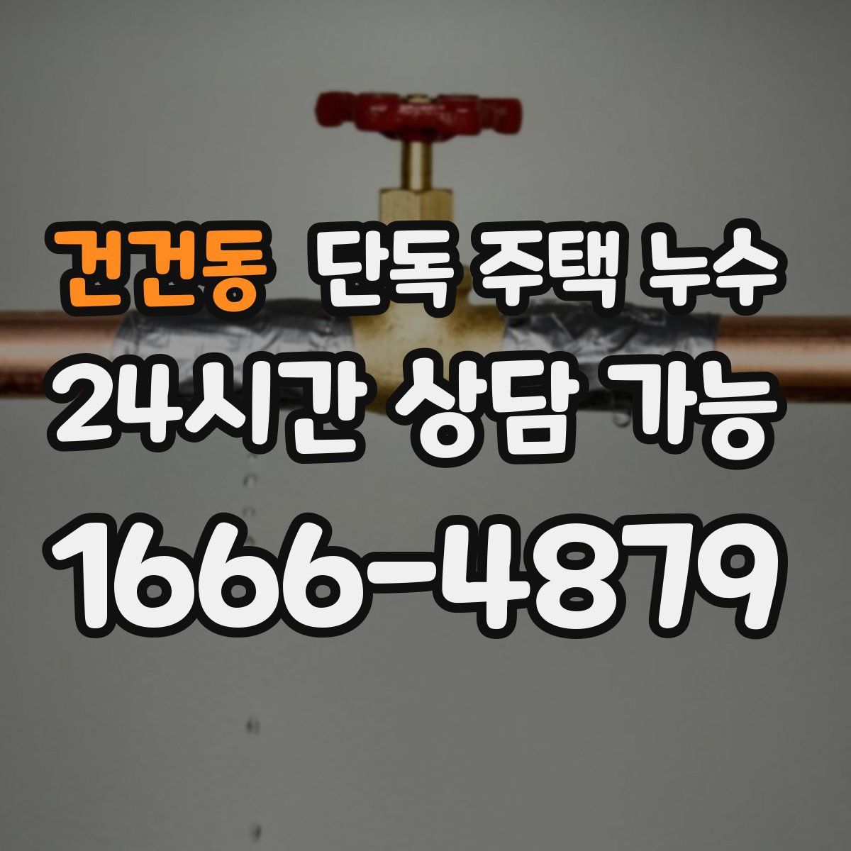 건건동 단독 주택 누수