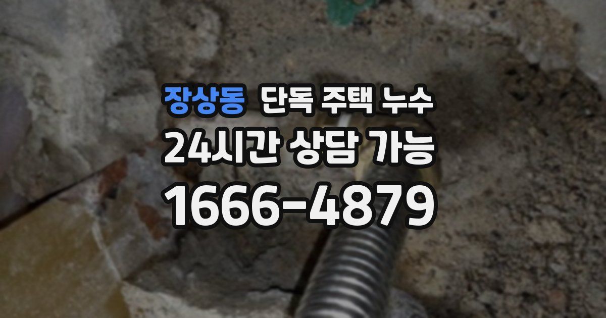 장상동 단독 주택 누수