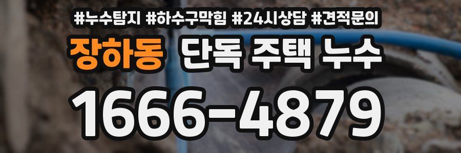장하동 단독 주택 누수