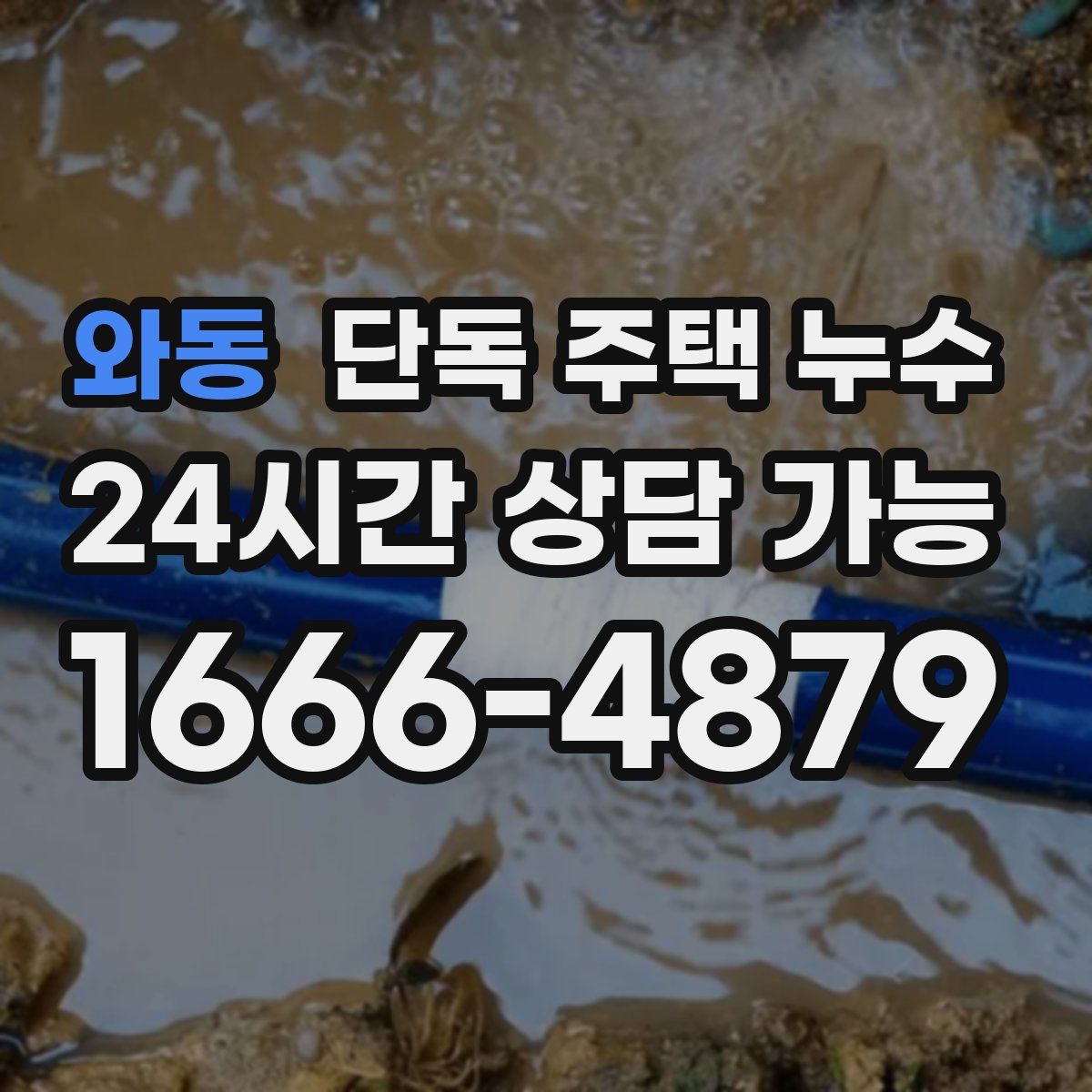 와동 단독 주택 누수