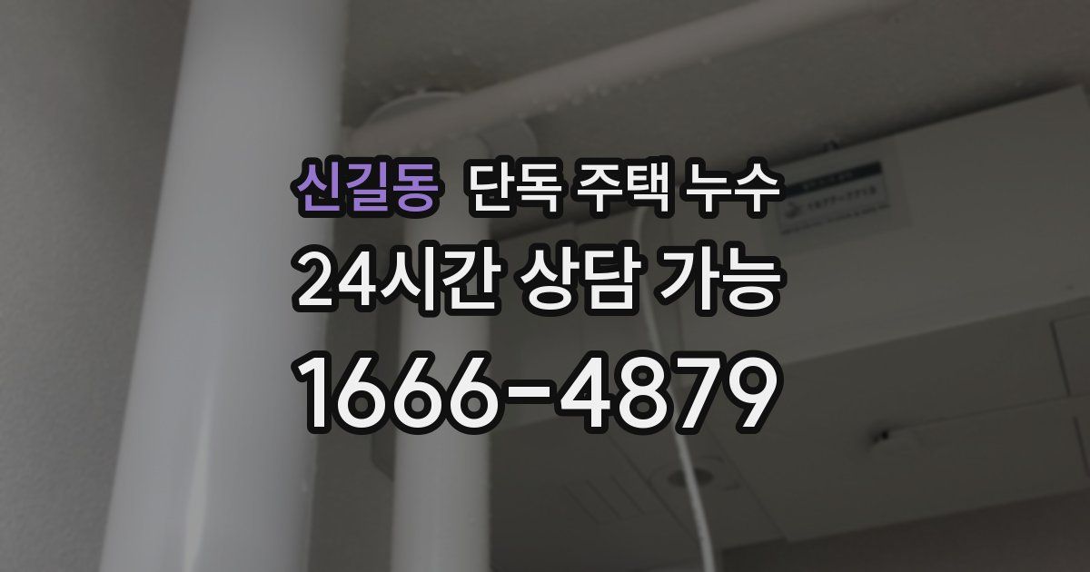 신길동 단독 주택 누수