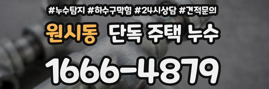 원시동 단독 주택 누수