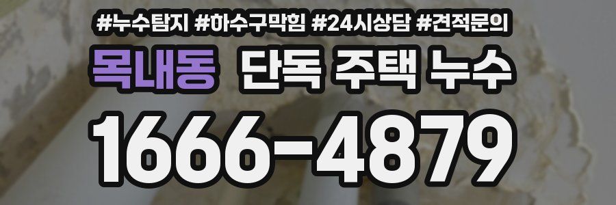 목내동 단독 주택 누수