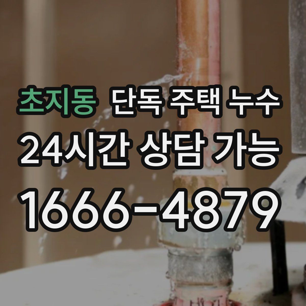 초지동 단독 주택 누수 수리 전 피해 확산을 줄이는 응급 방법