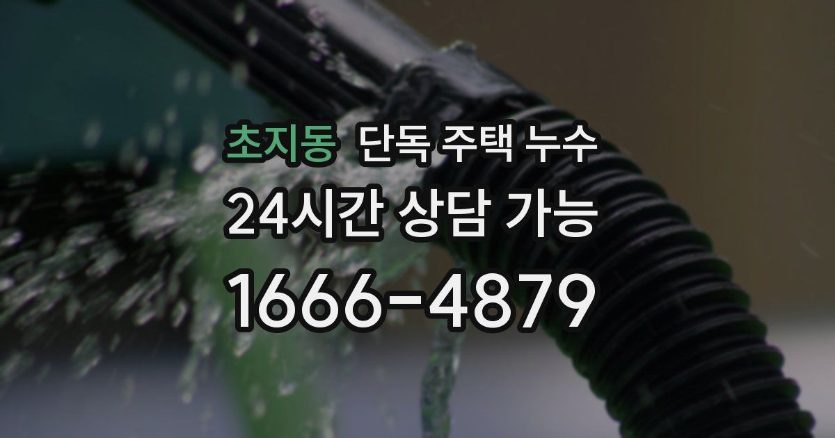 초지동 단독 주택 누수