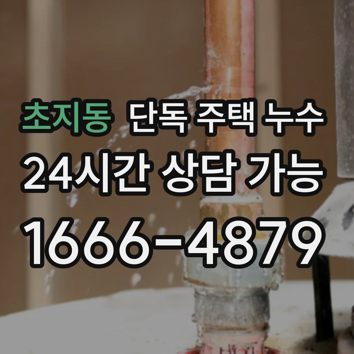 초지동 단독 주택 누수