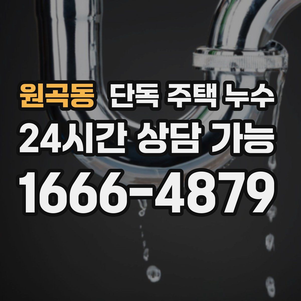 원곡동 단독 주택 누수