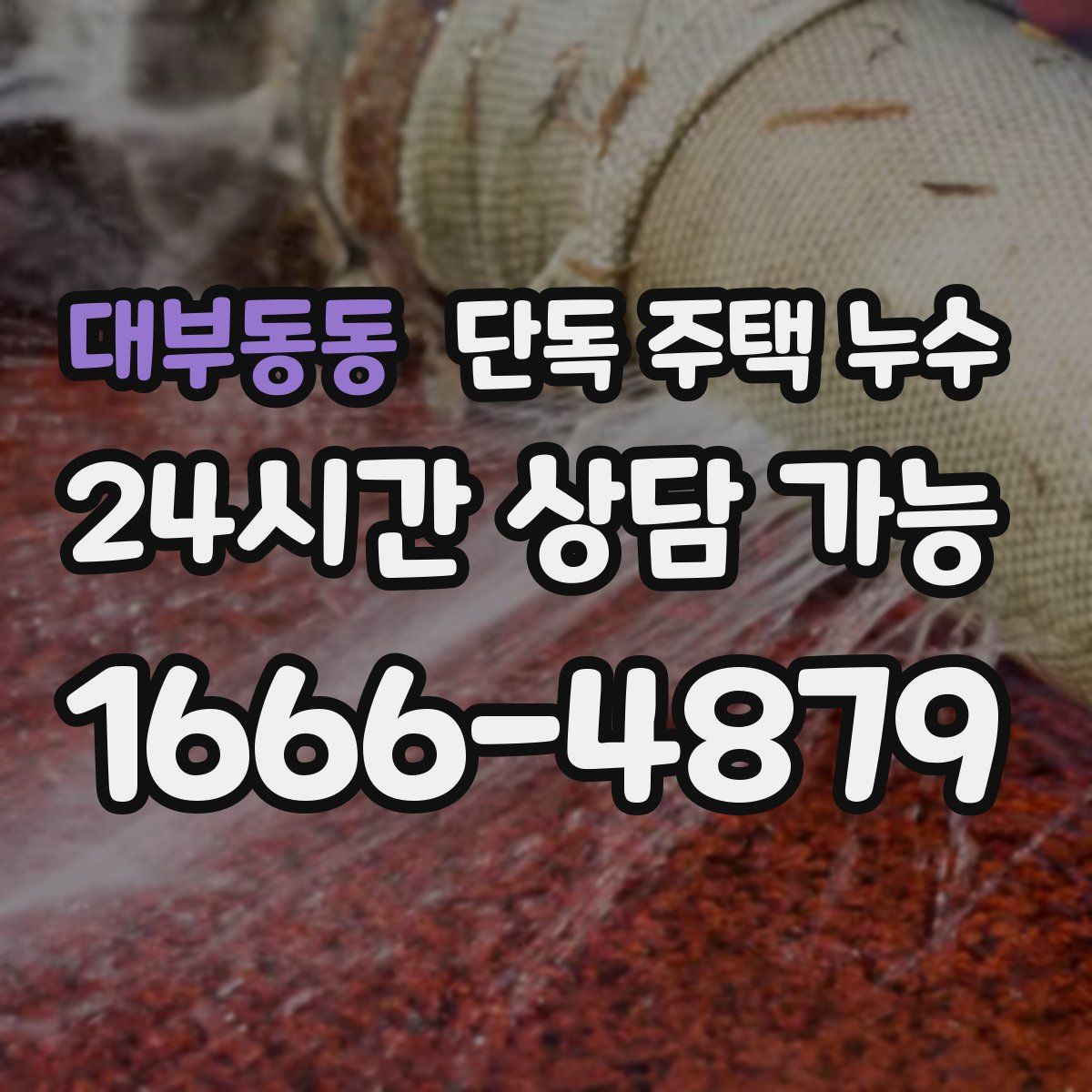 대부동동 단독 주택 누수