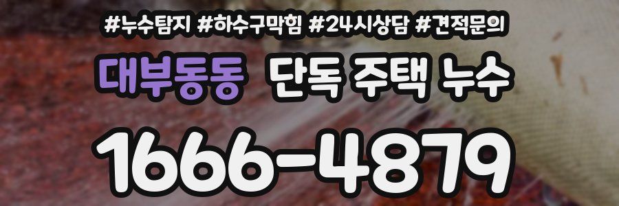 대부동동 단독 주택 누수