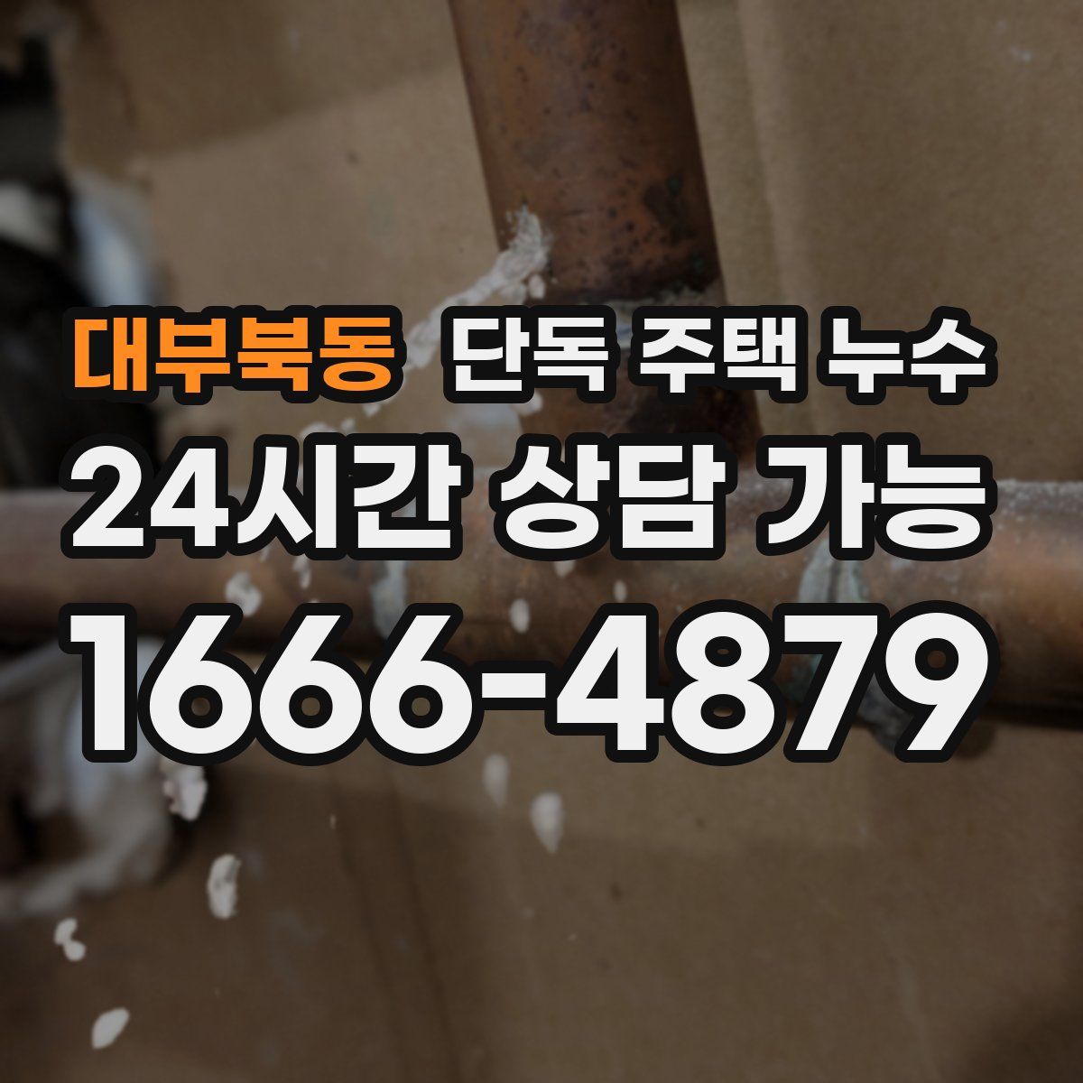 대부북동 단독 주택 누수